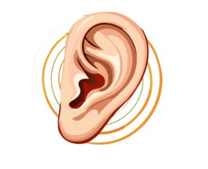 Big graphic of an ear