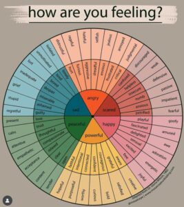 How are you feeling wheel in different colors